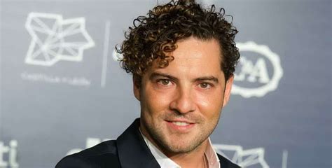 david bisbal net worth|David Bisbal Biography, Age, Height, Wife, Net Worth,。